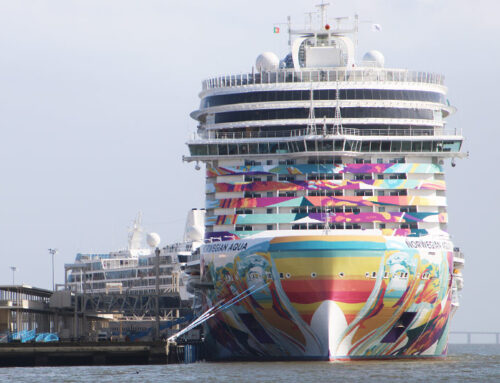 Norwegian Cruise Line: Volatile Q3 Bookings with Cost Management Strategies in Place